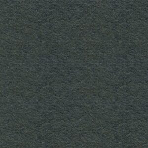 Gris ardoise